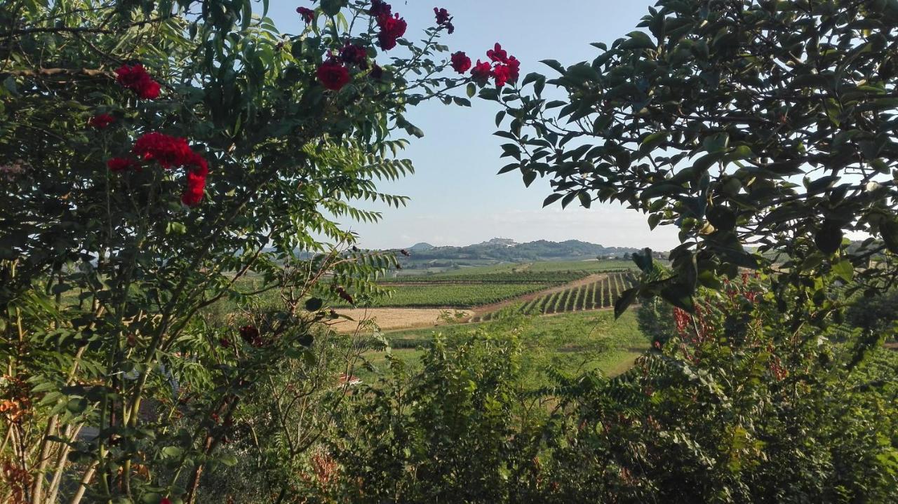 Agriturismo La Chiesina Abbadia di Montepulciano Zewnętrze zdjęcie
