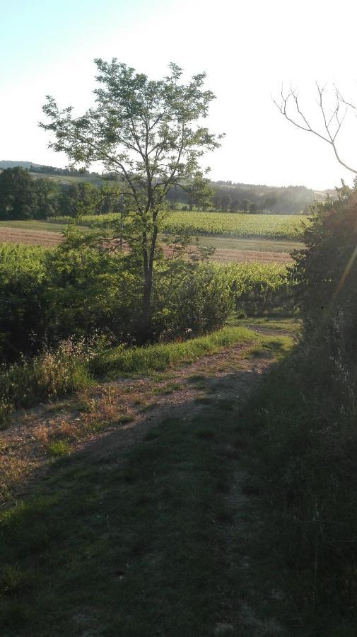 Agriturismo La Chiesina Abbadia di Montepulciano Zewnętrze zdjęcie