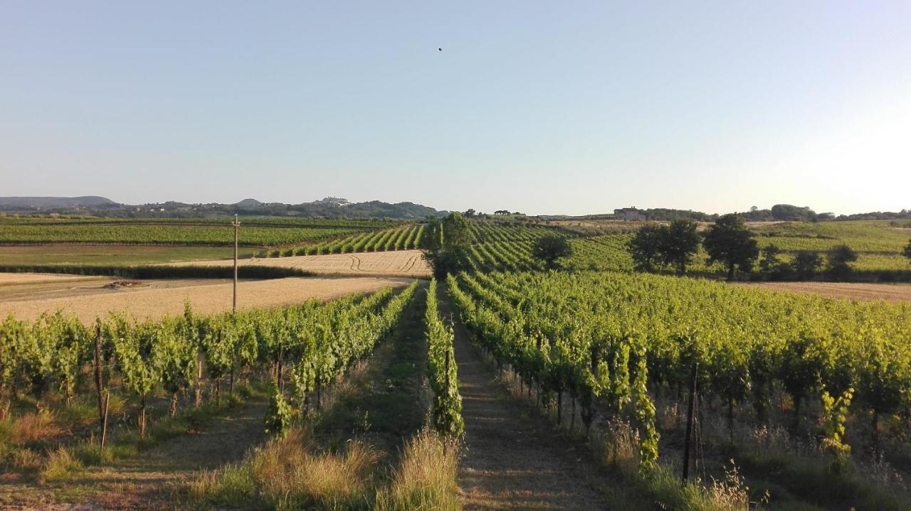 Agriturismo La Chiesina Abbadia di Montepulciano Zewnętrze zdjęcie